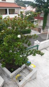 Fotografie z fotogalerie ubytování Apartments Šorić v Rovinji