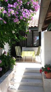 Zahrada ubytování Apartments Šorić