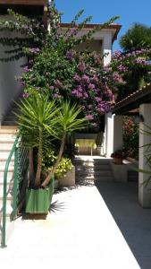 Zahrada ubytování Apartments Šorić