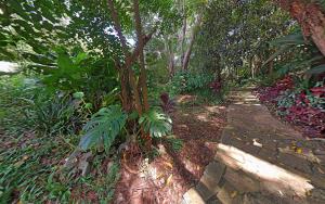Zahrada ubytování Hotel Curitiba Campo Comprido