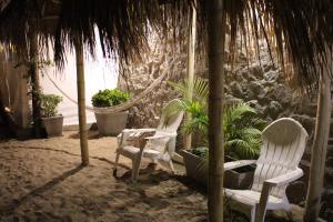 Um jardim em Ecocamp Huacachina