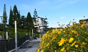 Zahrada ubytování Avillion Cameron Highlands