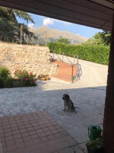 a pug dog sitting on a patio at Chalet Paola in Assergi