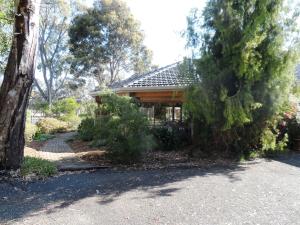 Magdala Motor Lodge & Lakeside Restaurant外面的花园