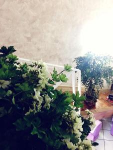 Vonkajšia záhrada v ubytovaní Suite Orchidea by Dimorra