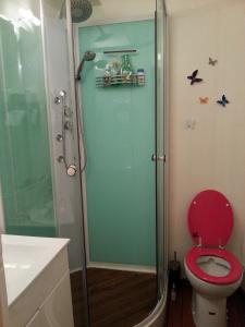 a bathroom with a shower with a red toilet at le prieuré in Montsoreau