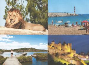 シジャンにあるMobil-Home a Sigeanの海岸と城写真のコラージュ