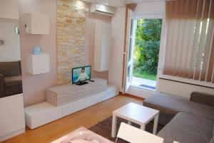 a living room with a couch and a tv at Relax Apartment in Vrnjačka Banja