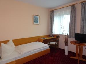 TV a/nebo společenská místnost v ubytování Hotel & Gasthof Zum Löwen