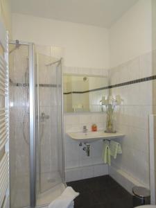 a bathroom with a shower and a sink at Hotel & Gasthof Zum Löwen in Eisenach