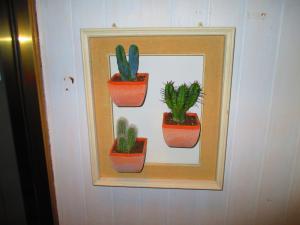 a picture of five cactuses in pots on a wall at Hotel Signorini in Castiglioncello