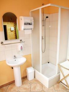 a bathroom with a shower and a sink at Hotel Kralj Tomislav in Nova Gradiška