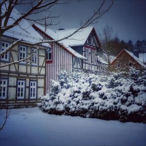 Harzhaus Schneewittchen im Winter