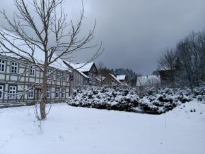 Harzhaus Schneewittchen im Winter