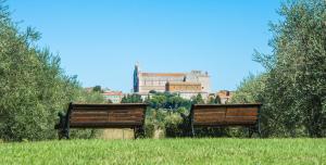 two benches in a field with a building in the background at Villa Monteporzano in Orvieto