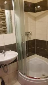 een badkamer met een douche, een wastafel en een bad bij Przystań Wodna Brody in Styków