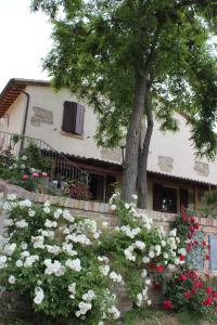 a house with a tree and flowers in front of it at Country House La Valle Del Vento in Urbino
