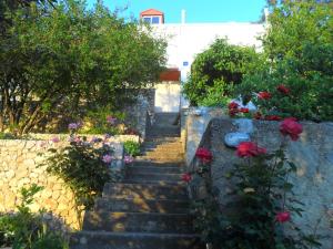 Ein Garten an der Unterkunft House Smajić