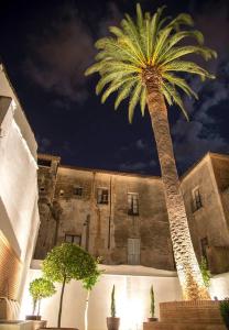 palma przed budynkiem w nocy w obiekcie Palacio Cáceres Deluxe w mieście Cáceres