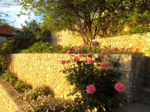 Ein Garten an der Unterkunft House Smajić