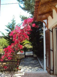 a gate with pink flowers in front of a house at Country House in Mati
