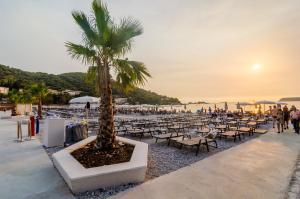 a palm tree on a beach with tables and chairs at Apartment Lapad Beach in Dubrovnik