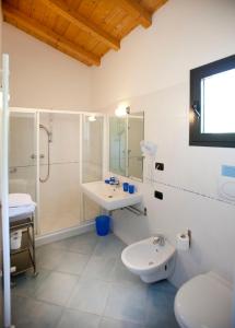 La salle de bains est pourvue d'un lavabo, d'une douche et de toilettes. dans l'établissement Residence Goethe, à Malcesine