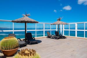 eine Terrasse mit Stühlen, Sonnenschirmen und einem Kaktus in der Unterkunft Hotel Concorde in Las Palmas de Gran Canaria