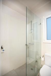 アテネにあるApollo Apartment @ Plakaのバスルーム(シャワー、トイレ付)