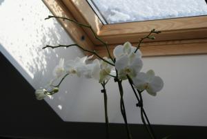 Φωτογραφία από το άλμπουμ του Guest House K74 σε Jablonné v Podještědí