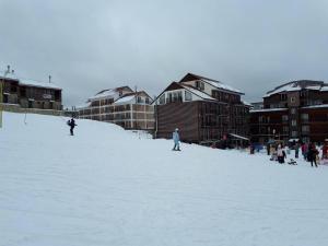a group of people skiing down a snow covered slope at EP Apartment in Mgzavrebi Bakuriani in Bakuriani