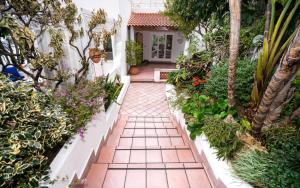a garden path leading to a house with plants at Villa Marinella in Ischia
