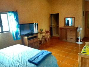 1 dormitorio con 1 cama y TV de pantalla plana en Hospedaje Ornelas, en Tepoztlán