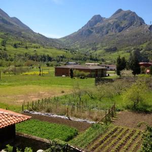 a view of a farm with mountains in the background at Tu casita de la Senda del Oso in Proaza