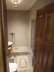 uma casa de banho com um chuveiro, um WC e um lavatório. em Vila ANA em Divčibare