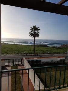 a balcony with a view of the ocean and a palm tree at Casa do Mar em Porto Covo in Porto Covo