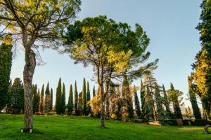 two trees in a field with trees in the background at Villa Betteloni Valpolicella Suites in San Pietro in Cariano