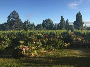 a garden with flowers and trees in the background at 'The Crib' on Legacy Vineyard in Alexandra