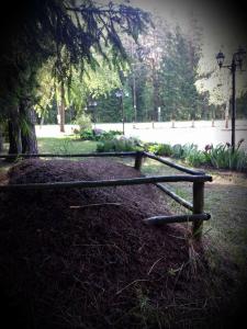 um banco de parque sentado na relva debaixo de uma árvore em Hotel Pušyno Namai em Tirkšliai