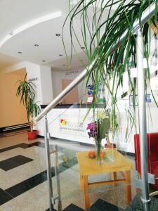 a lobby with a table and some potted plants at Apartments Mavesa in Vrnjačka Banja