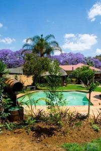 Pretoria的住宿－1322 Backpackers International，一座树木繁茂的庭院内的游泳池