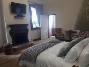 a bedroom with a bed with a fireplace and a television at De Mist Graskop in Graskop
