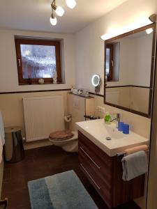 ein Badezimmer mit einem Waschbecken, einem WC und einem Spiegel in der Unterkunft Ferienhaus Weps in Arnbruck
