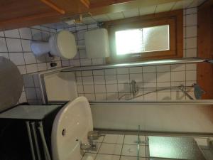 uma casa de banho com um lavatório, um WC e uma janela. em Ferienhaus Weil em Stamsried
