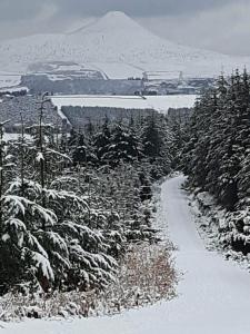 The Enniskerry Inn tokom zime