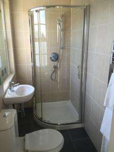 a bathroom with a shower and a toilet and a sink at Strandview Beach Apartment in Ballycastle +9 photos