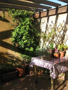 a table with potted plants on a patio at B&B "Angela " in Piacenza