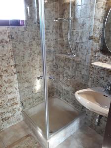 a bathroom with a shower and a sink at Walnut Tree House in Neulengbach