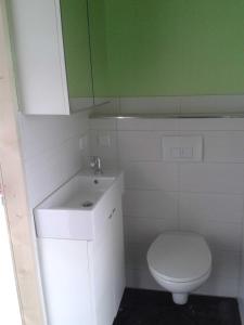 a small bathroom with a toilet and a sink at Luxus Chalet mit Terrasse, sehr ruhig in Kollmar in Kollmar