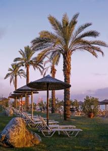 a group of chairs and an umbrella and palm trees at Cronwell Platamon Resort All-Inclusive in Platamonas